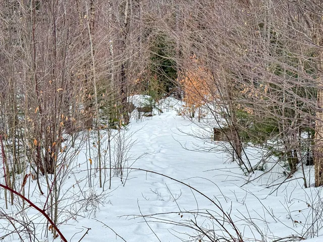 $175,000 | 166 Lamb Road, Carthage, ME 04224