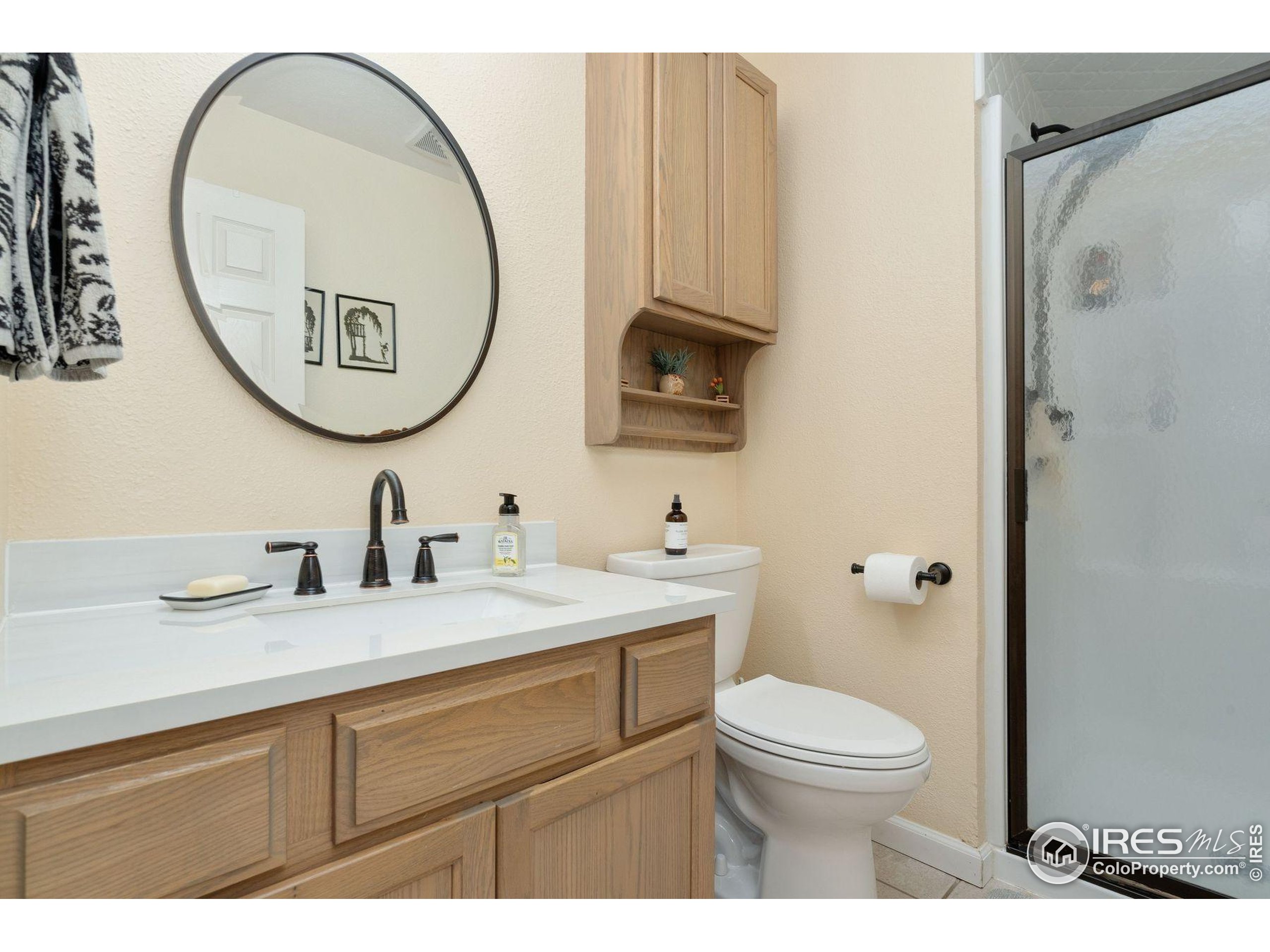 1055 Coho Run Fort Collins, CO 80524 - Photo 11 of 50 a bathroom with a toilet a sink and a mirror
