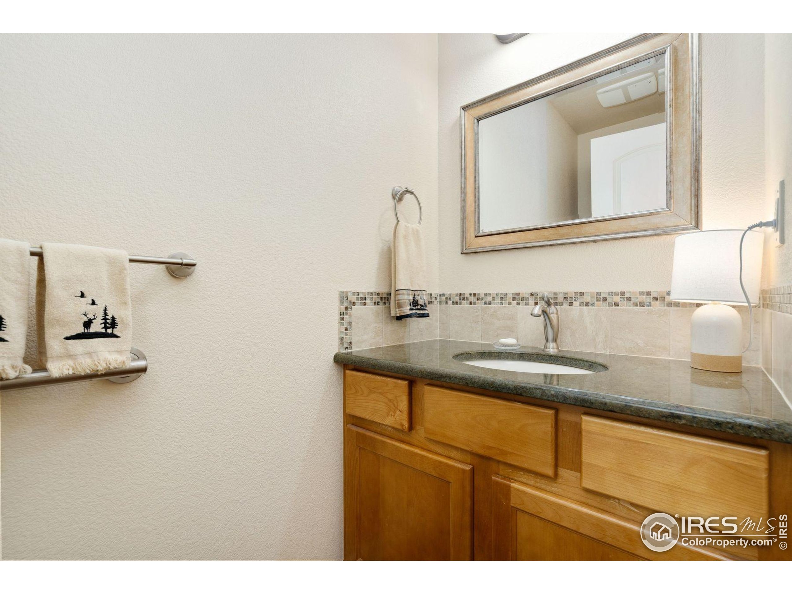 1055 Coho Run Fort Collins, CO 80524 - Photo 38 of 50 a bathroom with a sink and a mirror