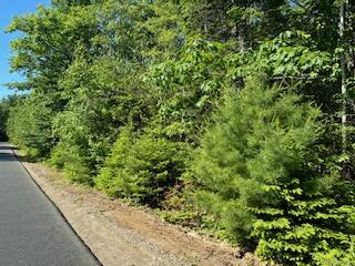 671 Stream Road Winterport, ME 04496 - Photo 11 of 47