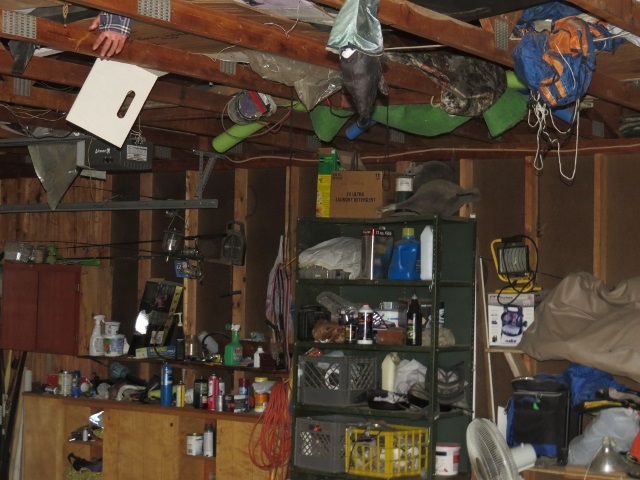 7113 Cottage Road Bellaire, MI 49615 - Photo 18 of 27 1798702-17.JPG