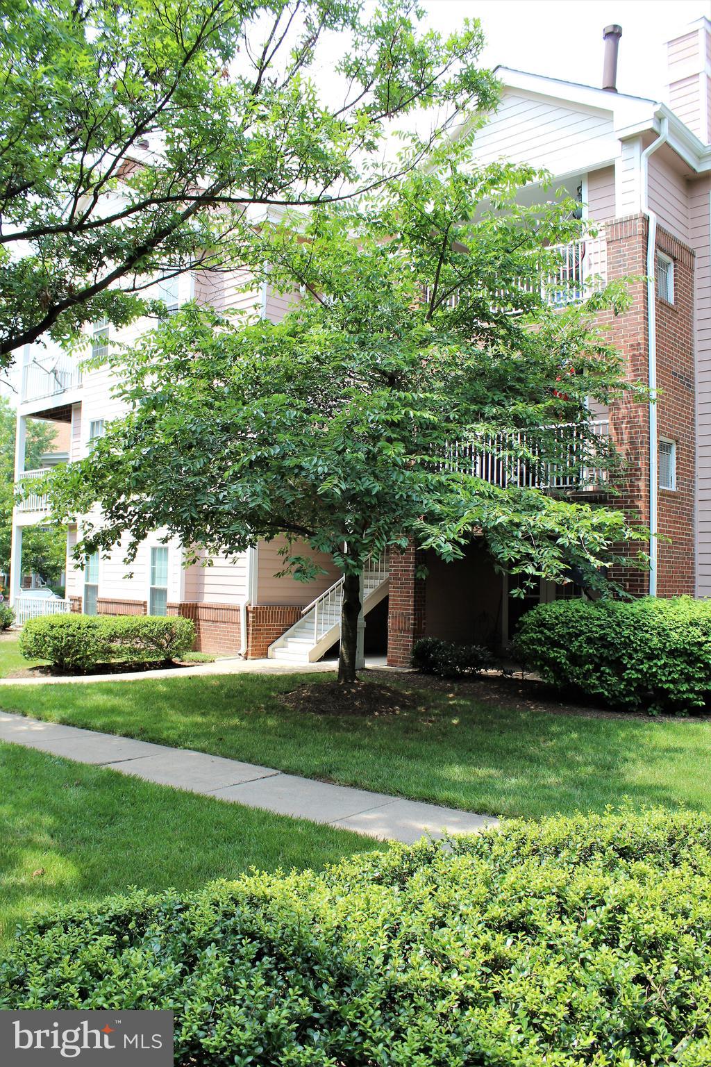 21023 Timber Ridge Terrace, Unit 103 Ashburn, VA 20147 - Photo 5 of 8 Landscaped Common Area