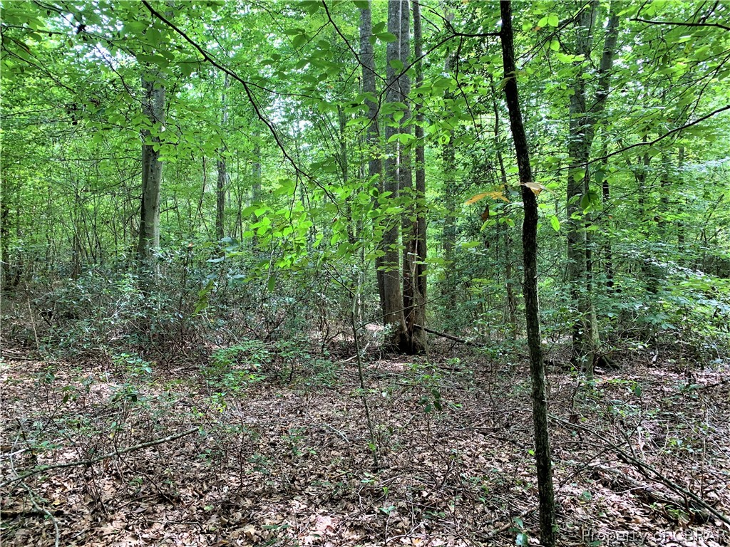 1 Newton Road Newtown, VA 23126 - Photo 13 of 20