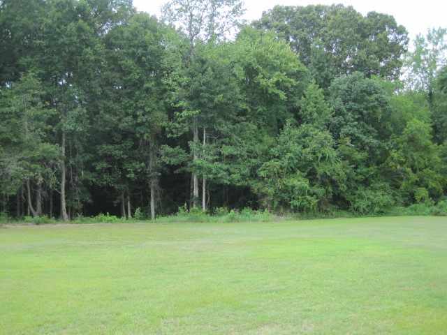5111 Murray Johnson Road Conway, SC 29526 - Photo 4 of 14 Gallery Image 4
