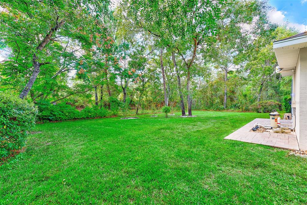 4 Poppy Court Homosassa, FL 34446 - Photo 49 of 55 a view of a backyard with large trees