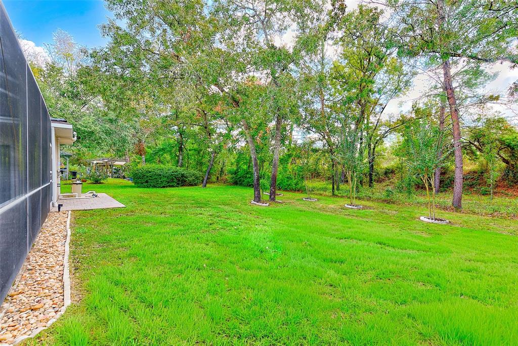 4 Poppy Court Homosassa, FL 34446 - Photo 50 of 55 a view of a backyard with large trees