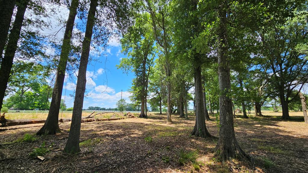 92 County Road 92 Slocomb, AL 36375 - Photo 58 of 58
