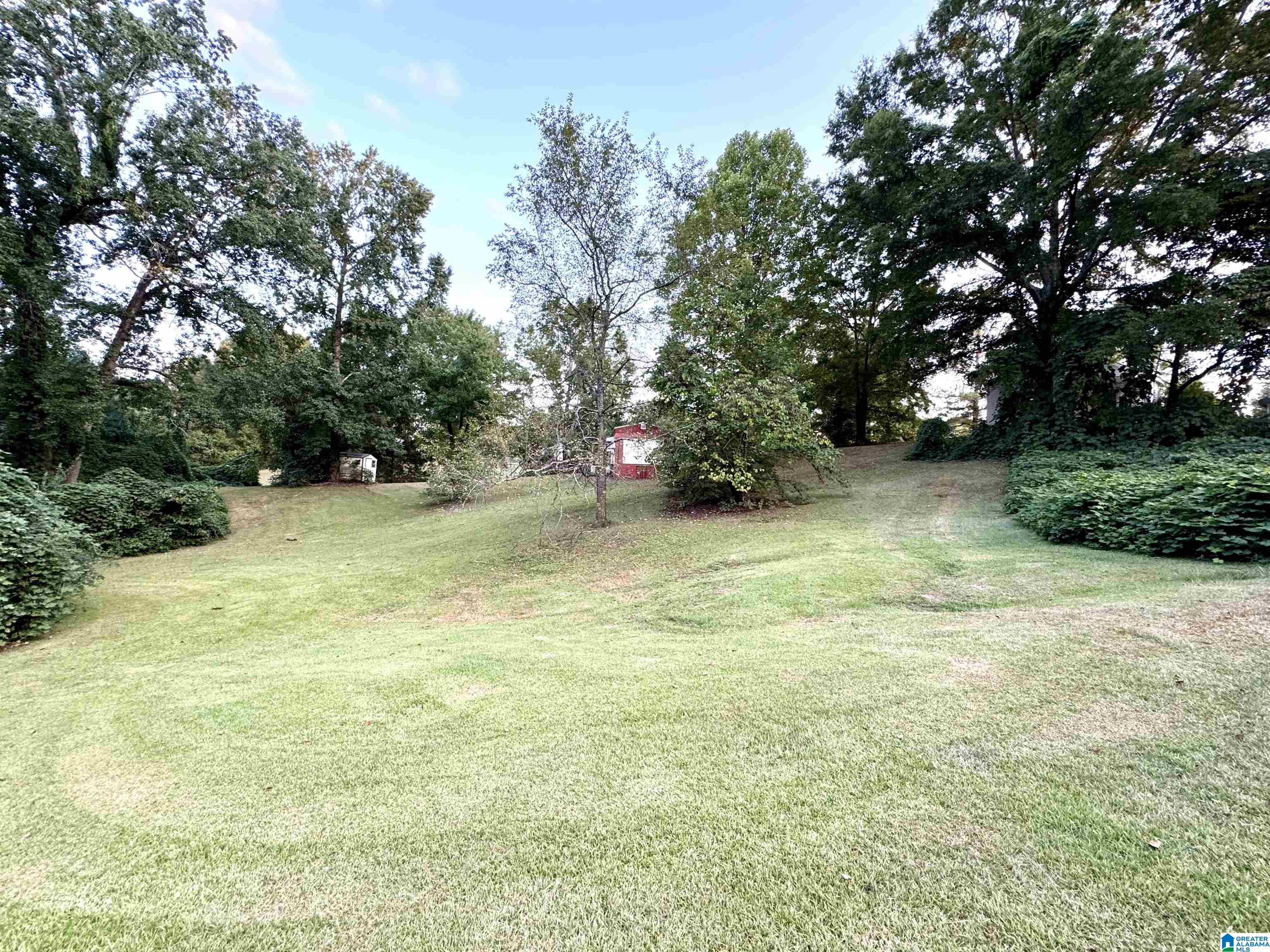 813 Cedar Springs Road Weaver, AL 36277 - Photo 2 of 22