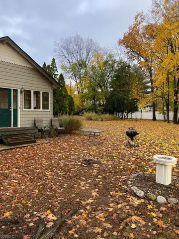 a view of a yard with plants and trees