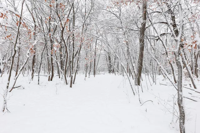 $209,000 | 18-ac Solem Lake Road Southwest, Kensington, MN 56343