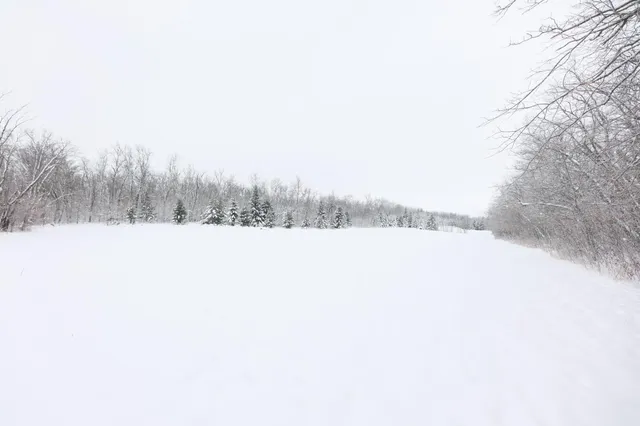 $209,000 | 18-ac Solem Lake Road Southwest, Kensington, MN 56343