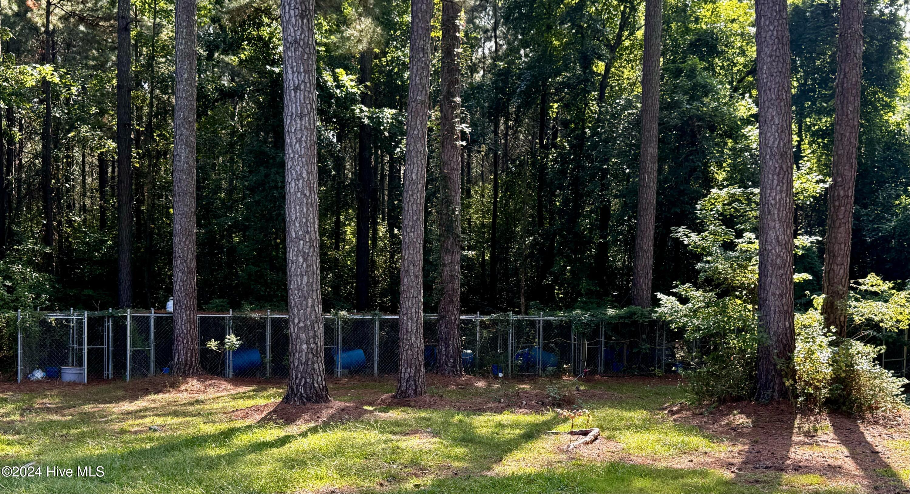 2986 Beargrass Road Stokes, NC 27884 - Photo 21 of 22 Dog kennels