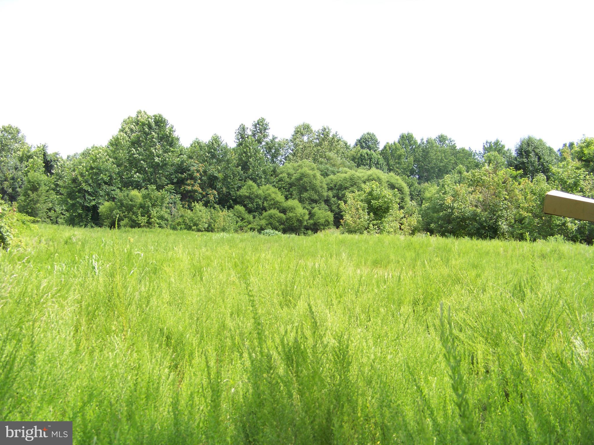 359 Whitetail Drive Dunkirk, MD 20754 - Photo 4 of 4 Cleared Area of 18 Acres