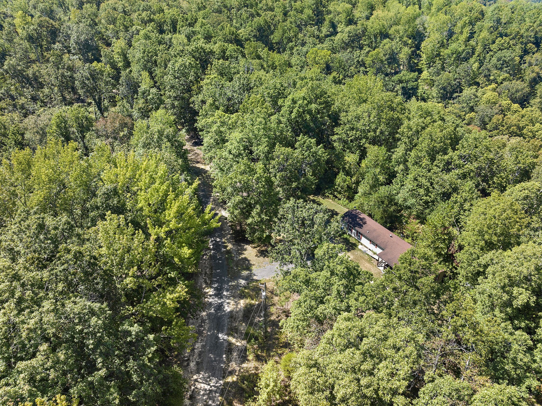 650 Wells Pointe Road Ashland City, TN 37015 - Photo 3 of 25 Gallery Image 3