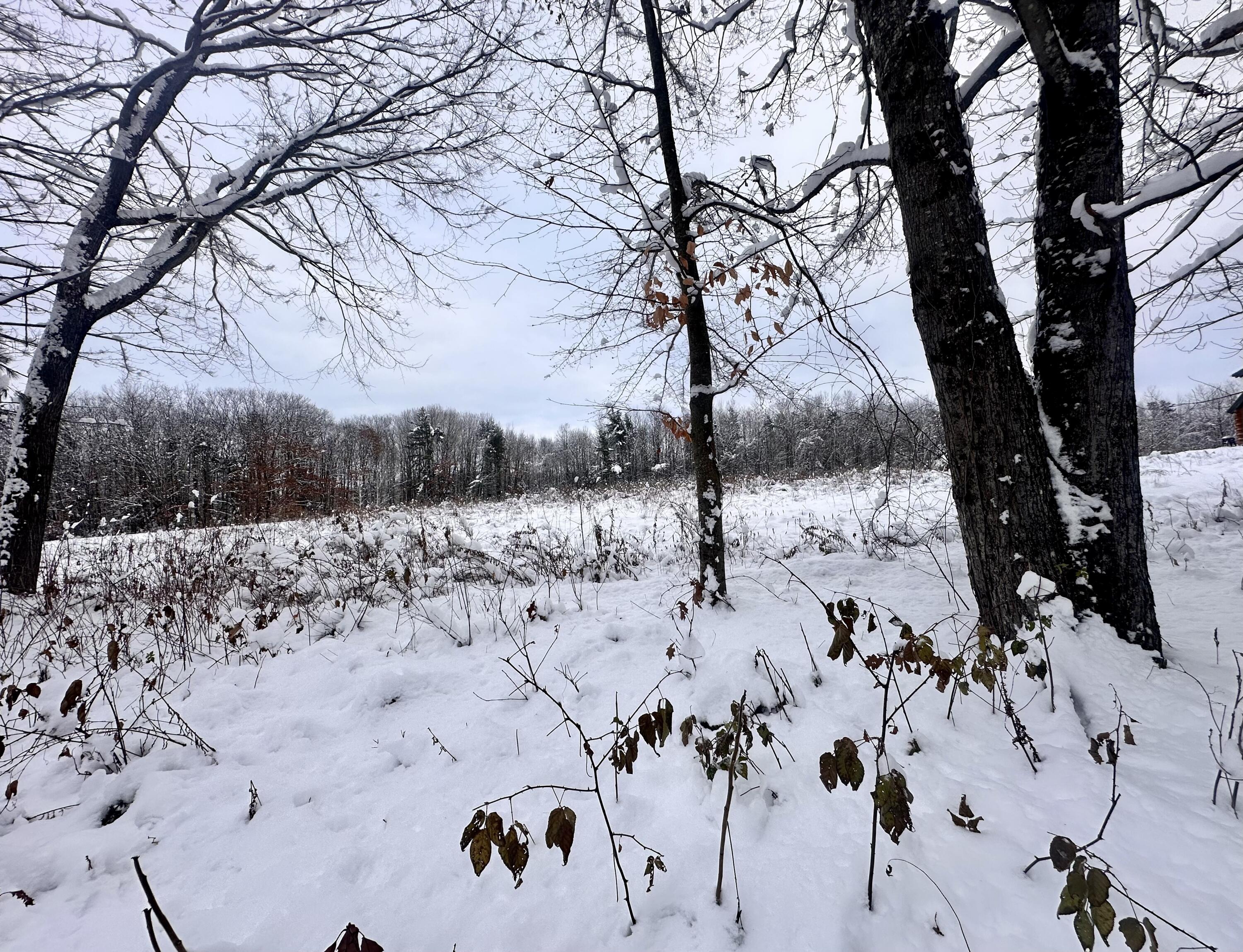 0 Tower Road Vienna, ME 04360 - Photo 5 of 11 Tower Rd land..