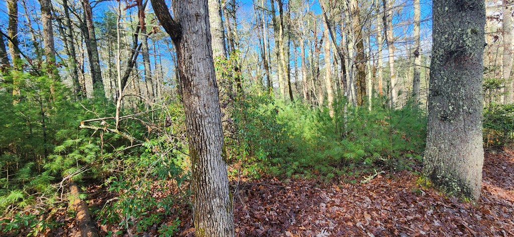3-lots Ridgecrest Drive Blue Ridge, GA 30513 - Photo 2 of 17 Gallery Image 2
