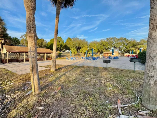 a view of a swimming pool with a garden