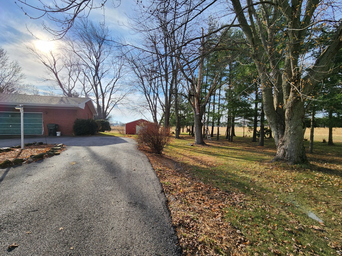5906 East 3500S Road St. Anne, IL 60964 - Photo 4 of 16 a view of road with trees