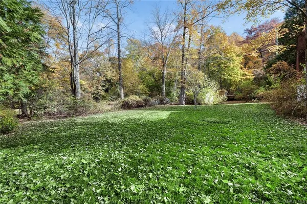 a view of a big yard with plants and large trees