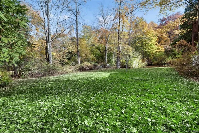a view of a big yard with plants and large trees