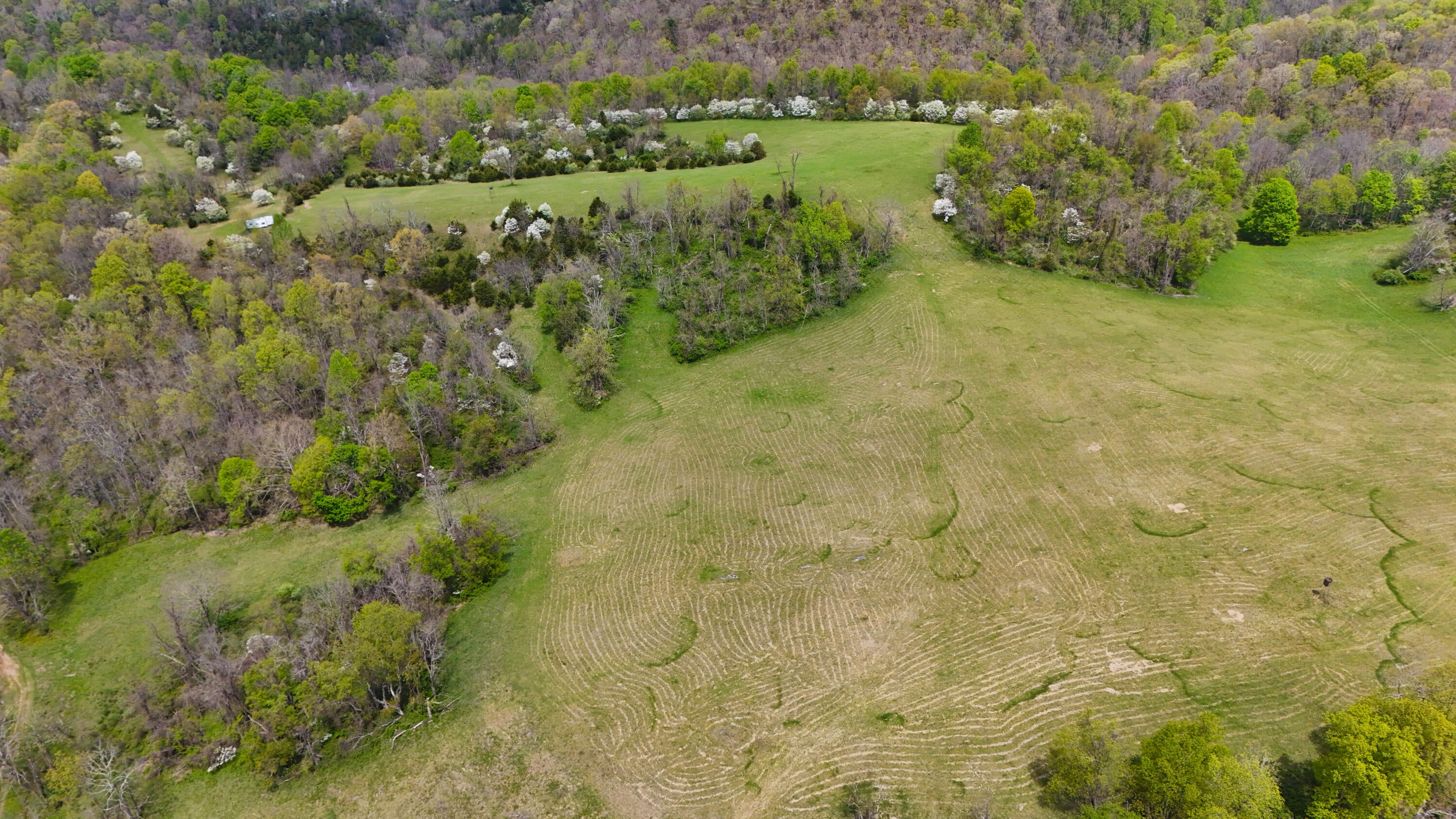 Buster Brown Road Union, WV 24983 - Photo 22 of 42 Gallery Image 22