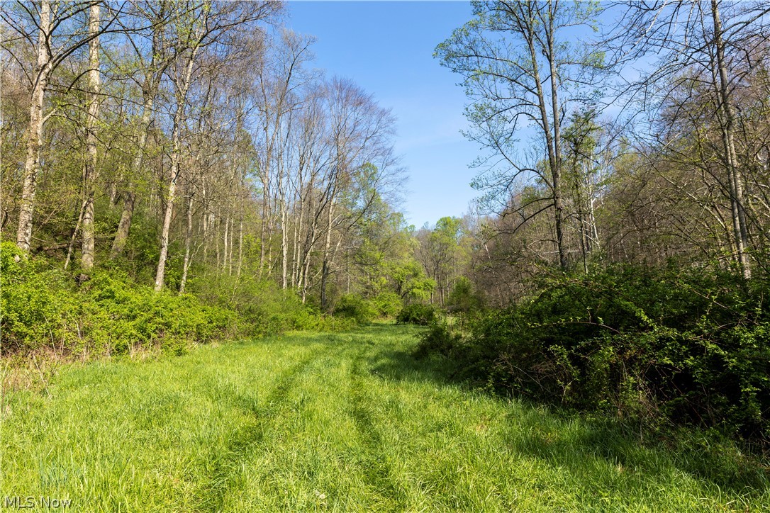 80960 Burkhart Road Tippecanoe, OH 44699 - Photo 32 of 50
