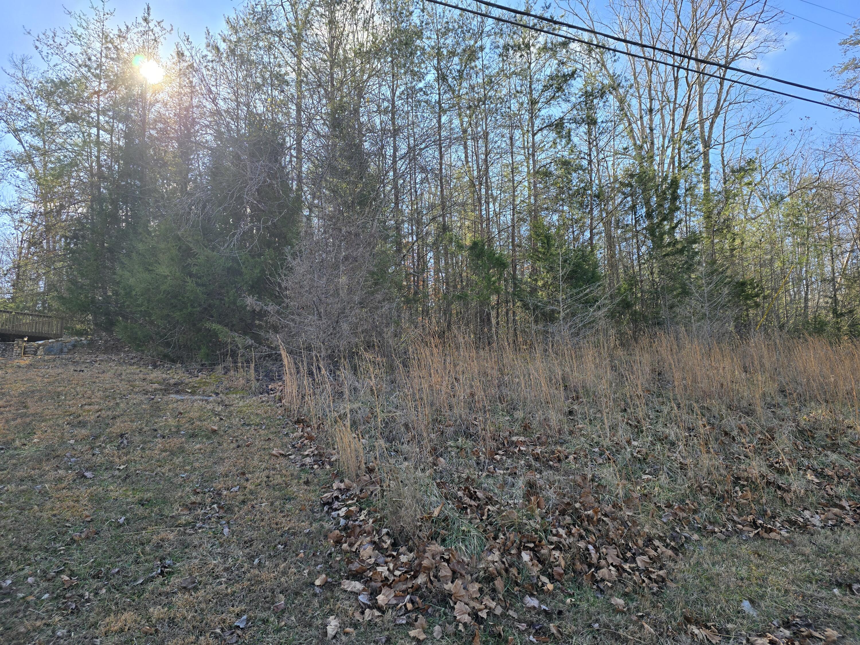 Lot 18 North Roberts Bend Road Burnside, KY 42519 - Photo 3 of 6 20251230_122406