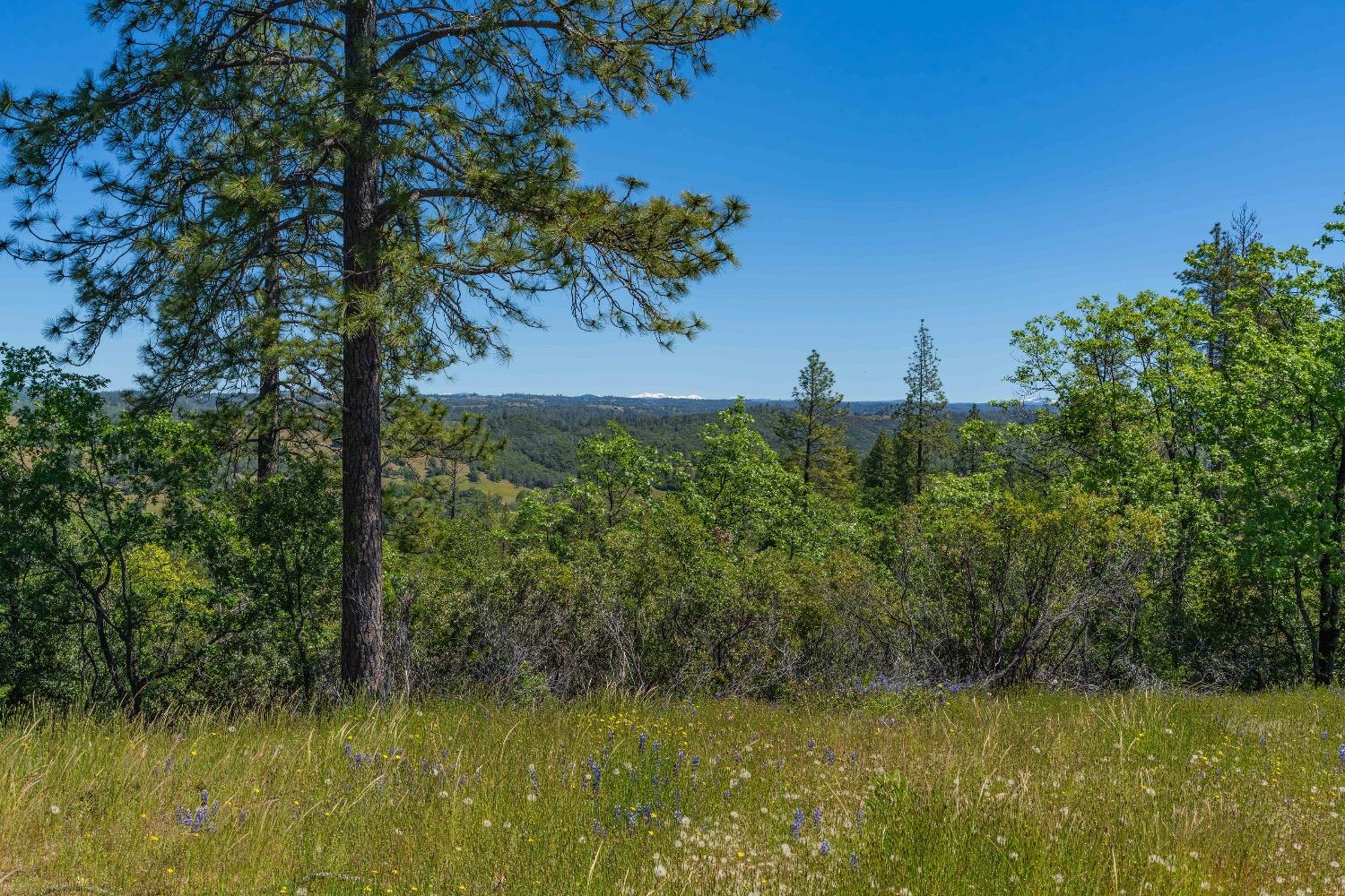 12377 Twin Pines Road Sutter Creek, CA 95685 - Photo 13 of 57 Gallery Image 13