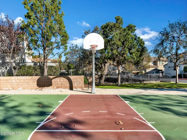 a view of a park with large trees