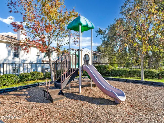 a view of a park with a large tree