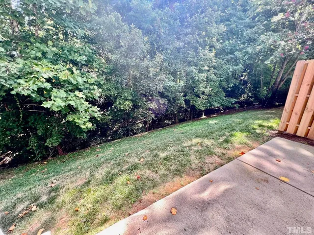 a view of backyard with green space