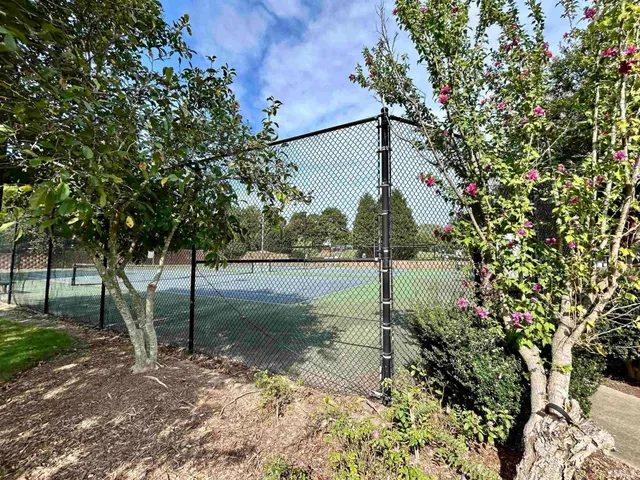 a view of a park with large trees