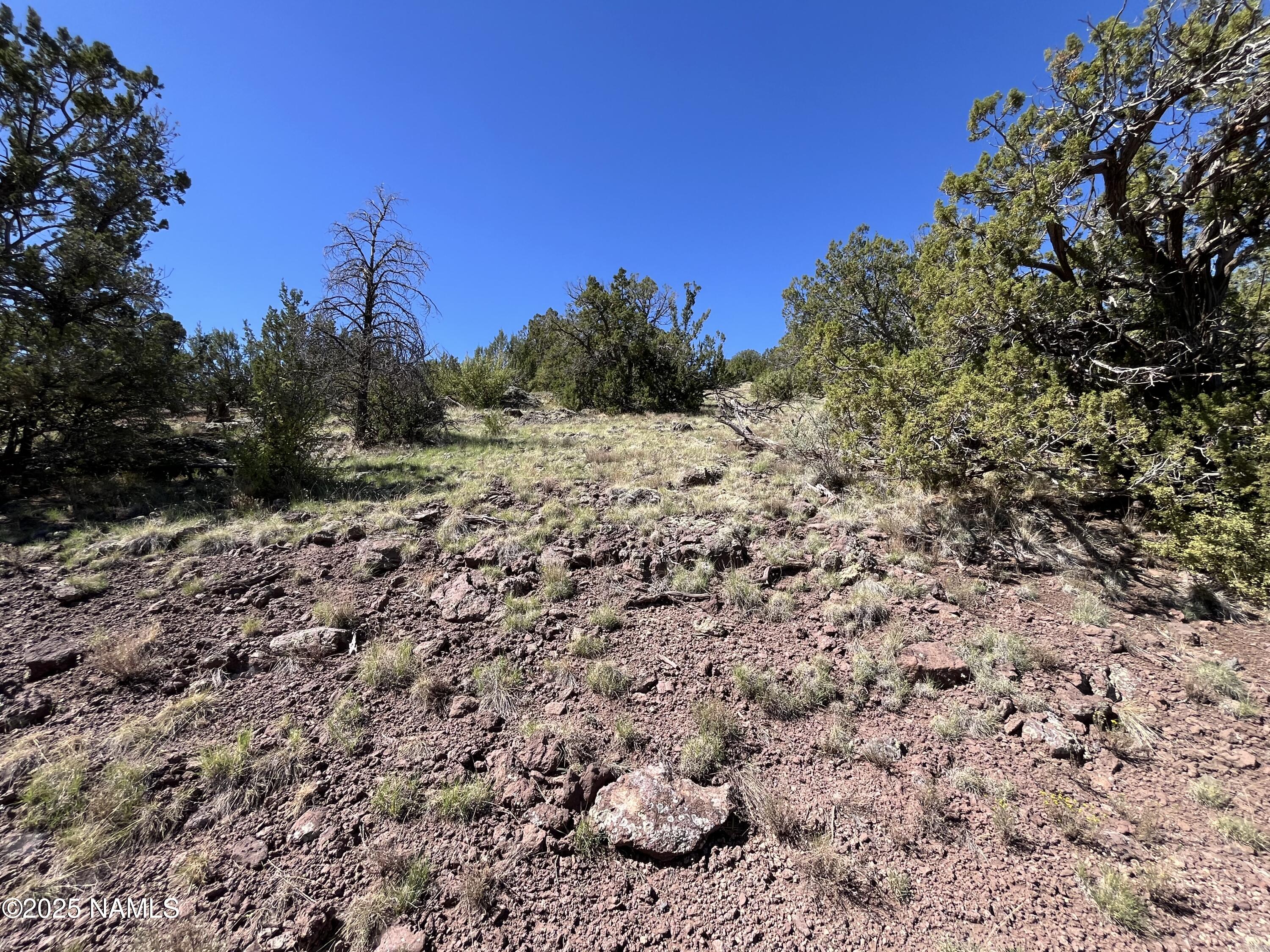 613 East Mountain Cat Road Williams, AZ 86046 - Photo 24 of 29 a view of a dry field with trees in the background