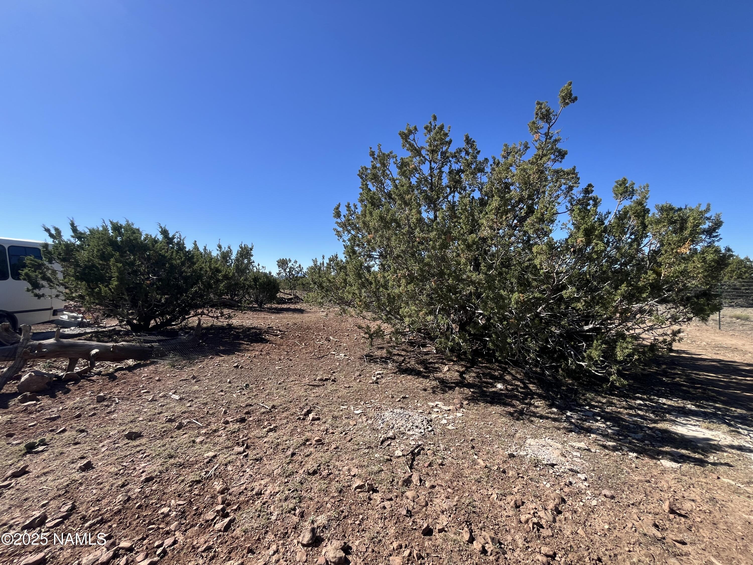 613 East Mountain Cat Road Williams, AZ 86046 - Photo 28 of 29 a view of a dry yard with lots of green space