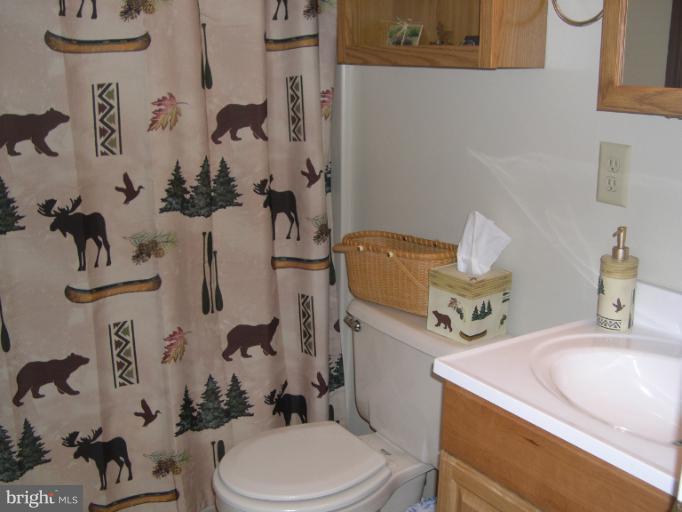 66 Mild Winter Road Hedgesville, WV 25427 - Photo 11 of 20 Bath