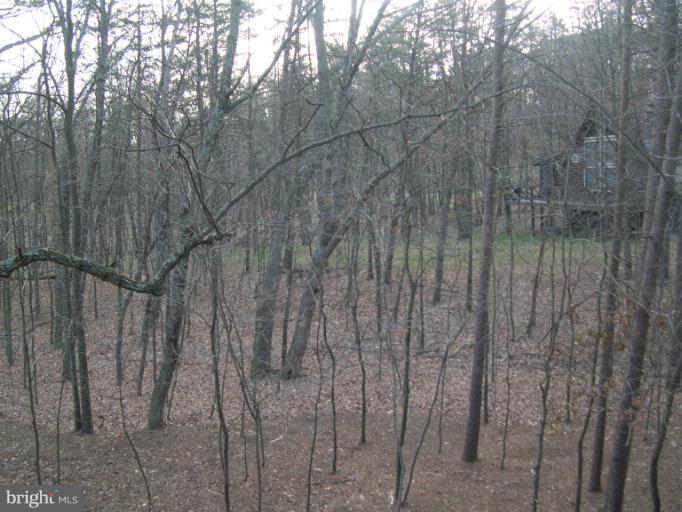 66 Mild Winter Road Hedgesville, WV 25427 - Photo 20 of 20 Wooded View