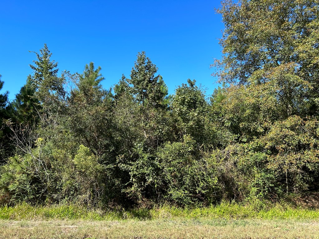 5-ac 5-ac Road Cottonwood, AL 36320 - Photo 3 of 23