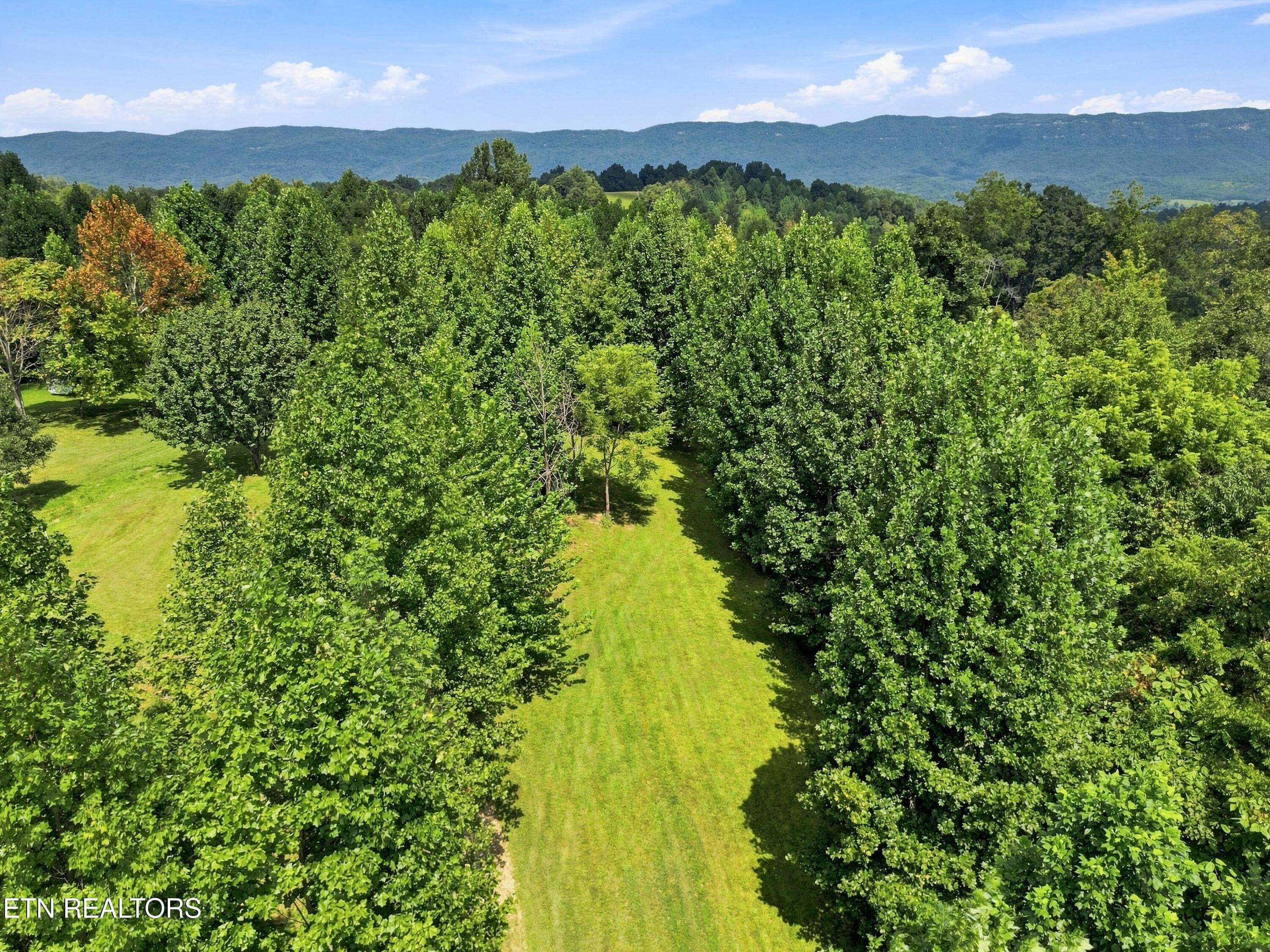 1133 Wheeler Road Harrogate, TN 37752 - Photo 20 of 38 24-Wheeler_Rd_024