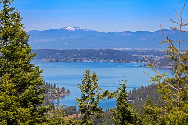 $1,495,000 | 9338 South Caribou Ridge Road, Harrison, ID 83833