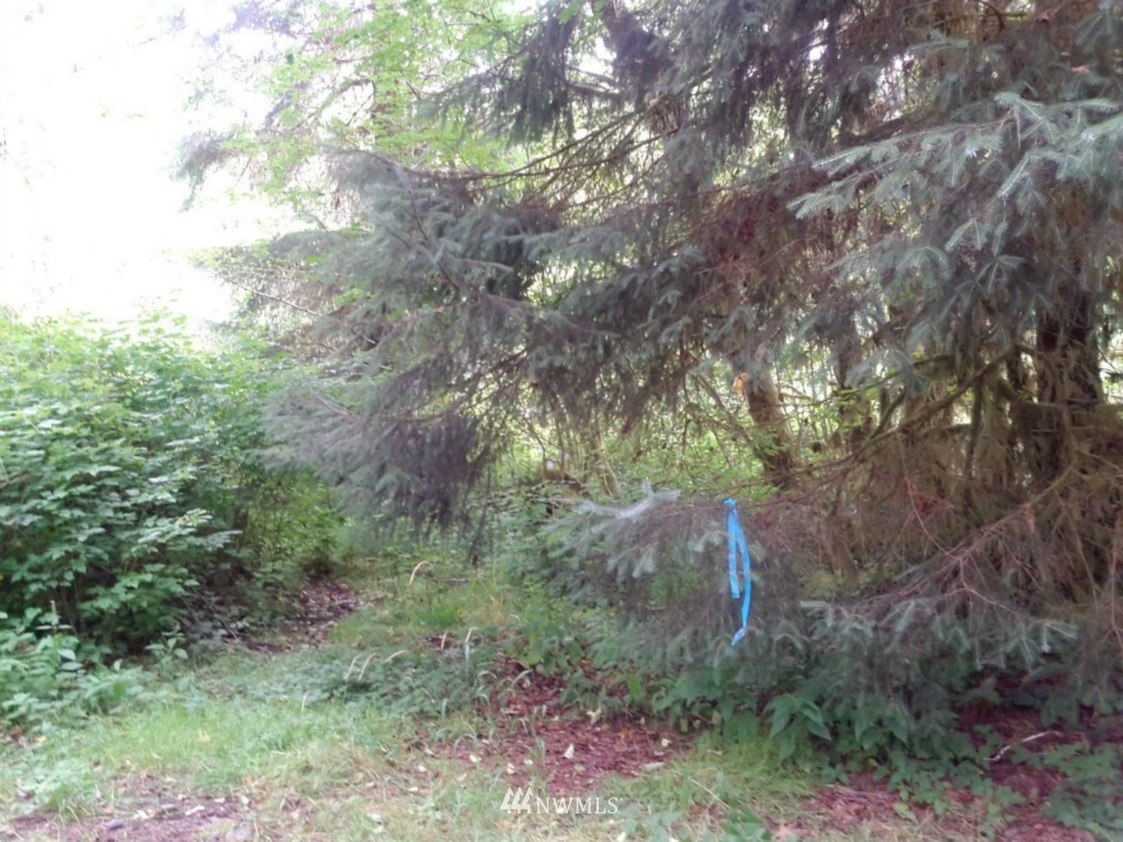 187159 R Highway 101 Forks, WA 98331 - Photo 4 of 5 Gallery Image 4