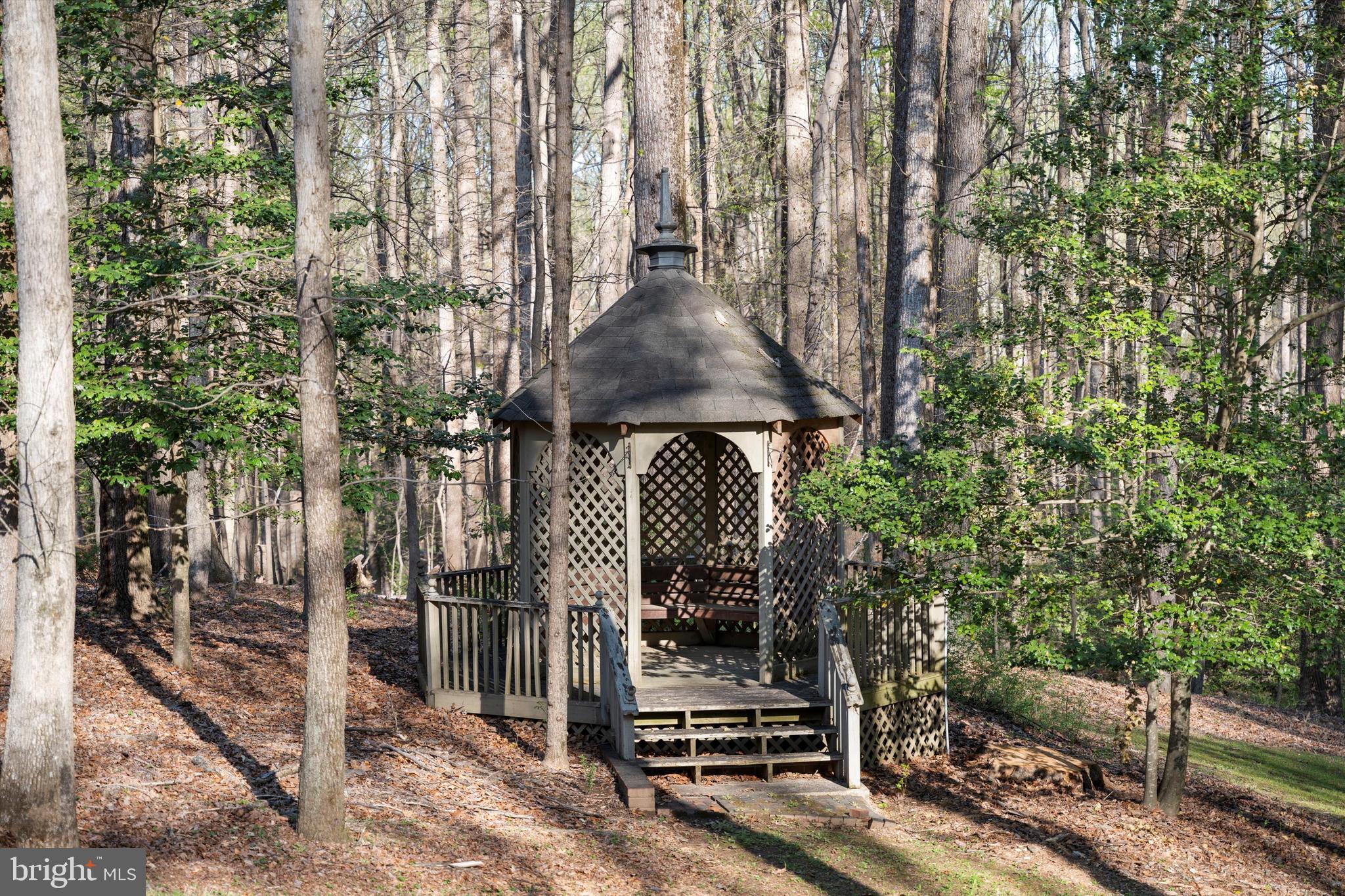 642 Springvale Road Great Falls, VA 22066 - Photo 44 of 50 a view of entryway and hall with wooden fence