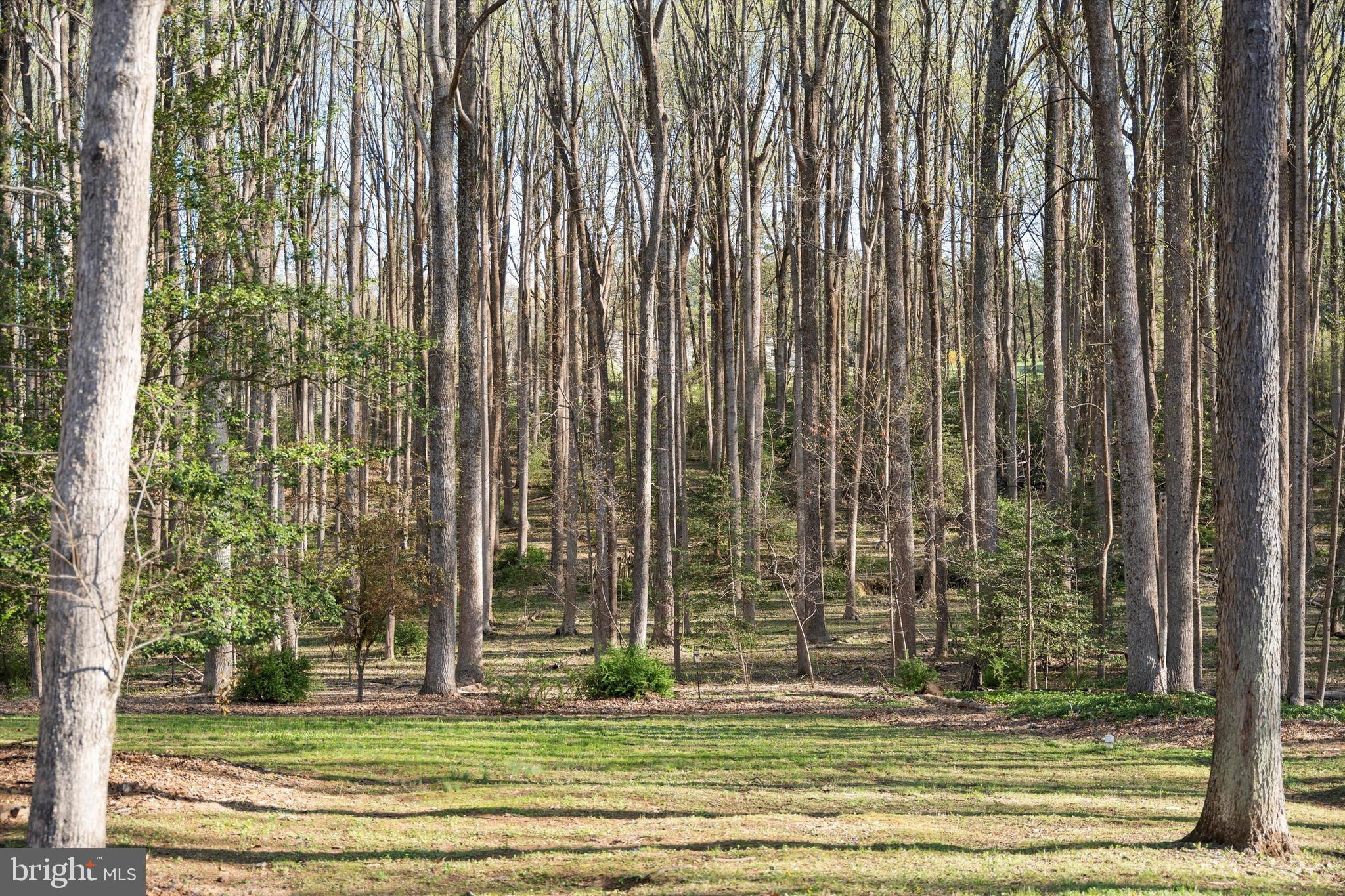 642 Springvale Road Great Falls, VA 22066 - Photo 45 of 50 a view of a tall building with a trees in the background