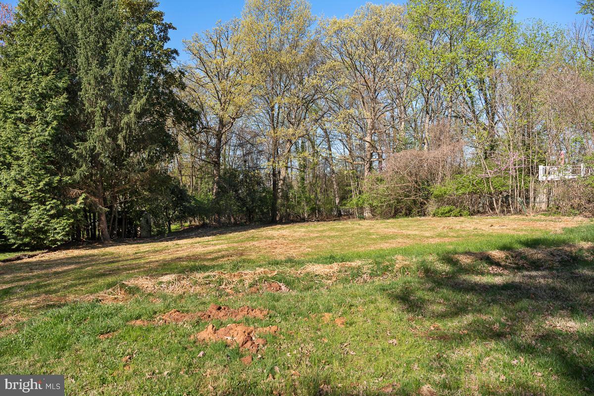 642 Springvale Road Great Falls, VA 22066 - Photo 47 of 50