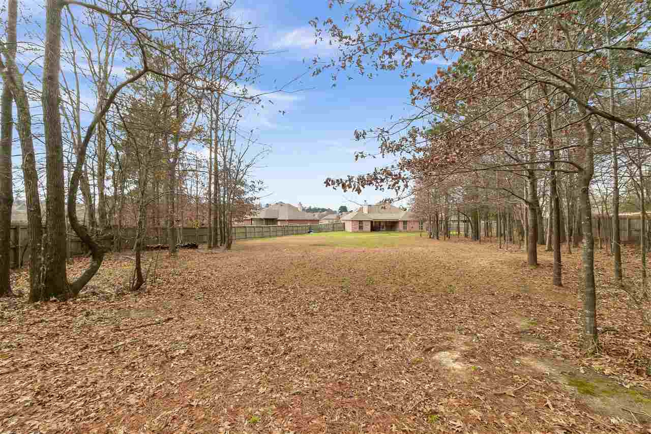 433 Springhill Point Brandon, MS 39047 - Photo 5 of 26 Photo 5