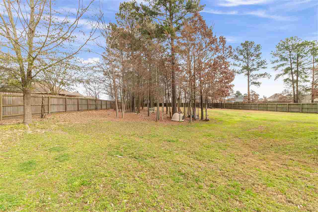 433 Springhill Point Brandon, MS 39047 - Photo 7 of 26 Photo 7
