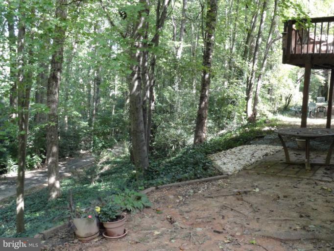 2343 Old Trail Drive Reston, VA 20191 - Photo 21 of 24 Overlooking the woods and walking trail