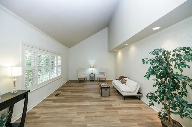 a living room with furniture and a potted plant