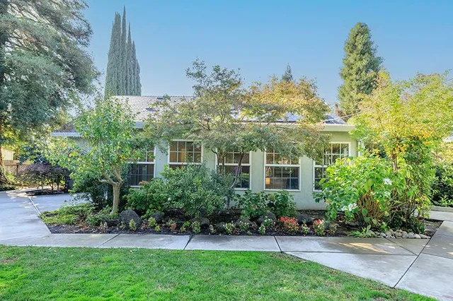 a view of a garden with a pathway