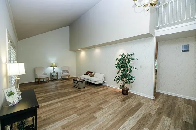 a living room with furniture and a potted plant
