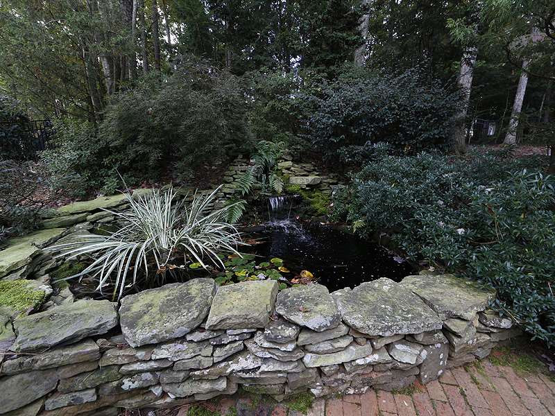 10905 Fitzwilliam Street Raleigh, NC 27614 - Photo 23 of 25 Photo 23